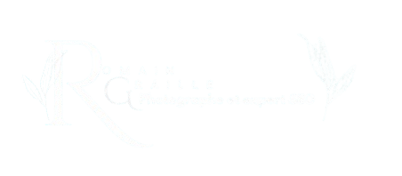 Photographe corporate et consultant SEO